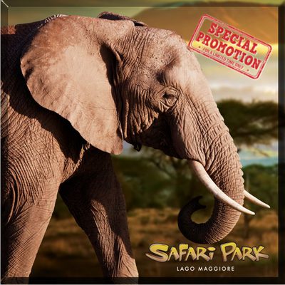 On-Line PROMO - 2026